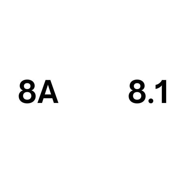 ASC 8A 8.1 - ProPutiikki